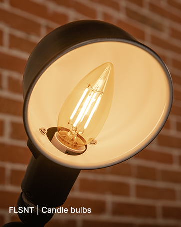 FLSNT BULB