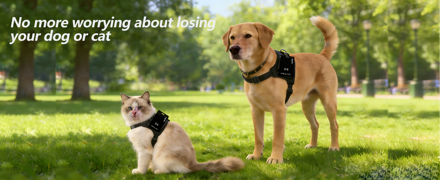No more worrying about losing your dog or cat.