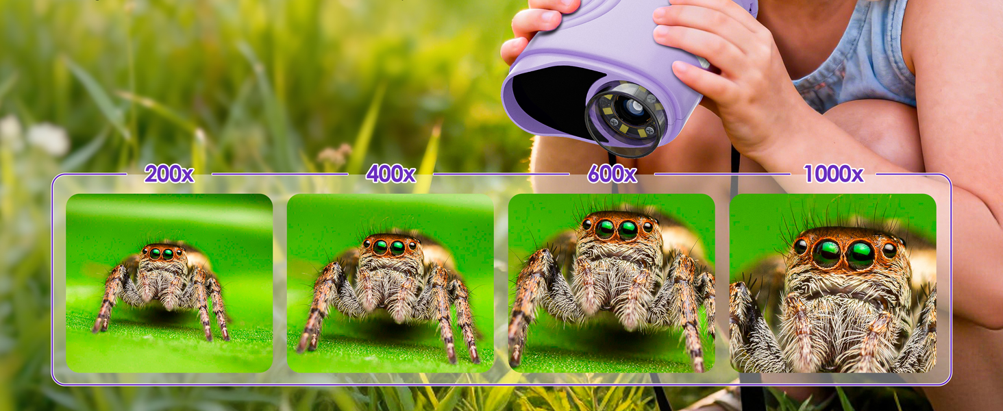 microscope