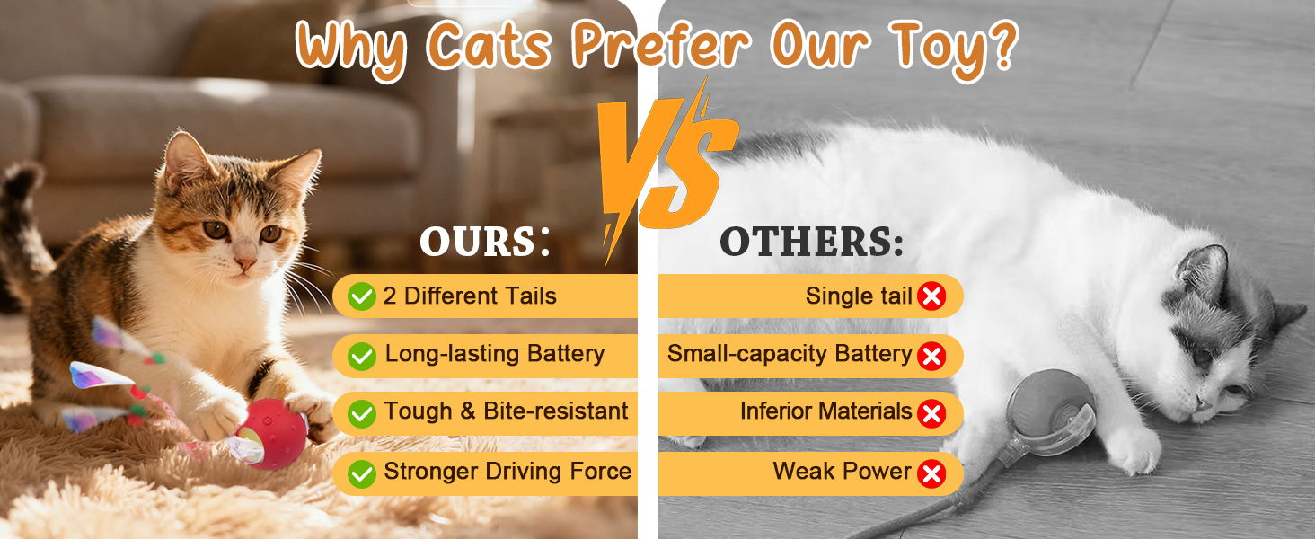 automated cat toy