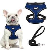 PUPTECK Soft Mesh Dog Harness and Leash Set Pet Puppy Cat Comfort Padded Vest No Pull Harnesses, ...