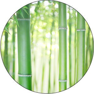 natural bamboo wood material renewable duarable good for the enviroment