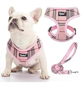 PUPTECK Soft Mesh Dog Harness and Leash Set Pet Puppy Cat Comfort Padded Vest No Pull Harnesses, ...