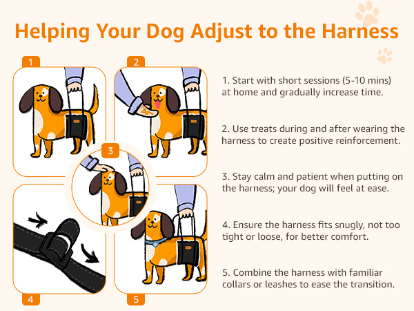 dog harness for large dogs