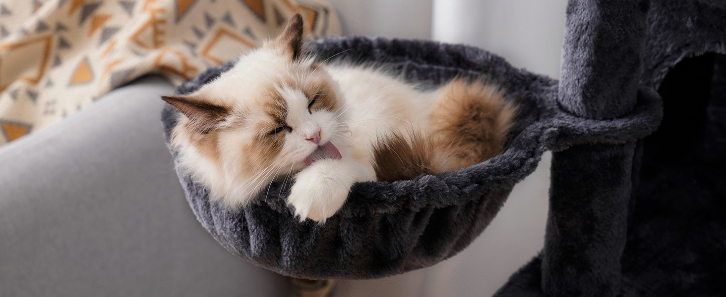 cat tree