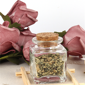 Dicunoy 20 PCS Glass Favor Jars with Cork Lids, 2oz Square Bottles for Herb Storage
