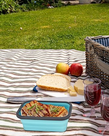 collapsible food storage containers with lids