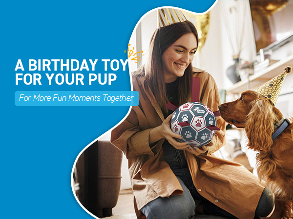 Dog Christmas Gifts