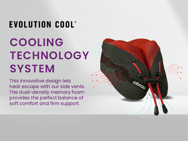 Cooling Technology System