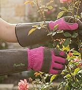 Woman gloves