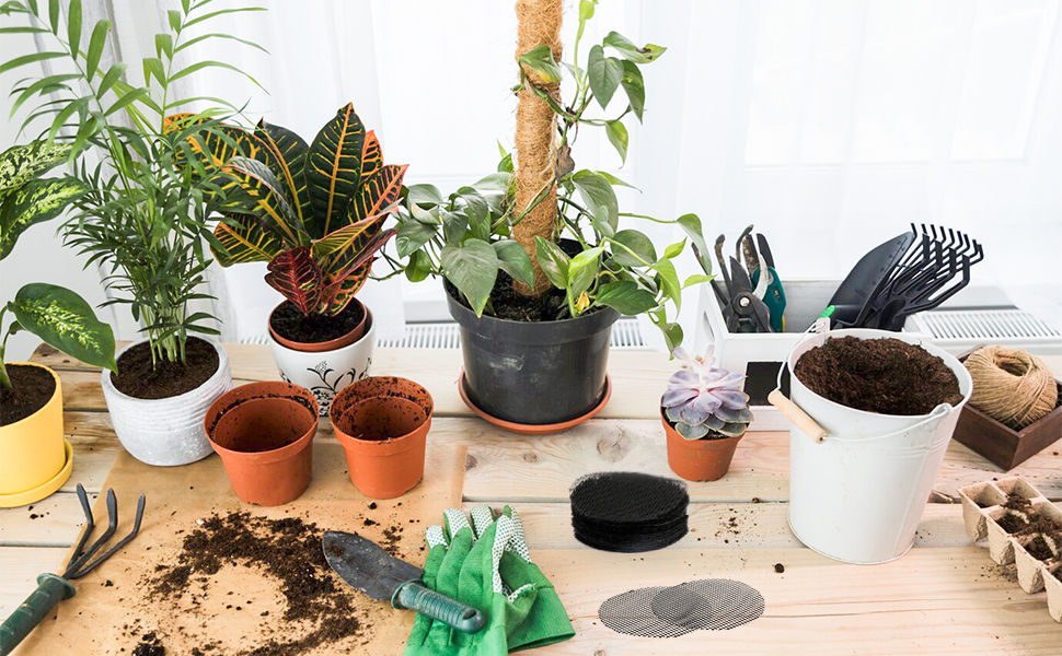plant accessories indoor