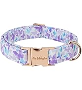 Astdogio Elegant Butterfly Dog Collar, Purple Blue Gradient Design Collars for Dogs, Adjustable C...