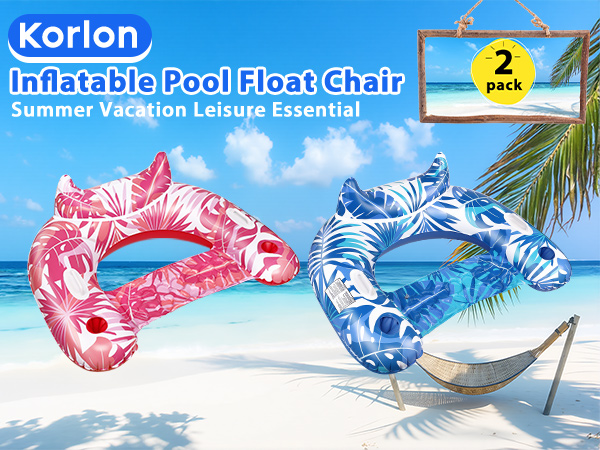 pool float chair