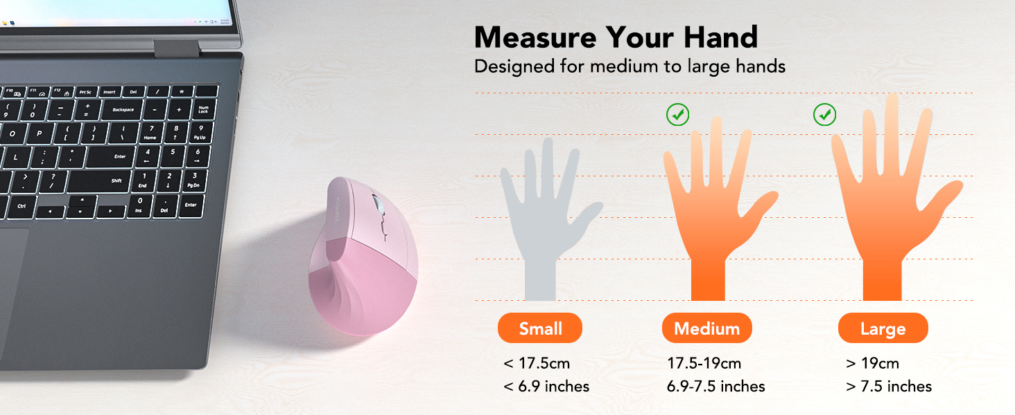 Small medium large hands