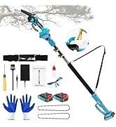 2-in-1Pole Saw&6 Inch Mini Chainsaw Cordless,with Extension Pole, Automatic Oiler with 2 Battery,...