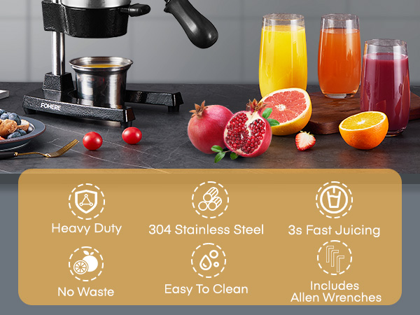 manual juicer