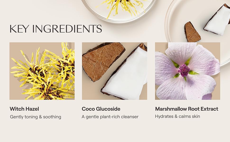 key ingredients witch hazel coco glucoside