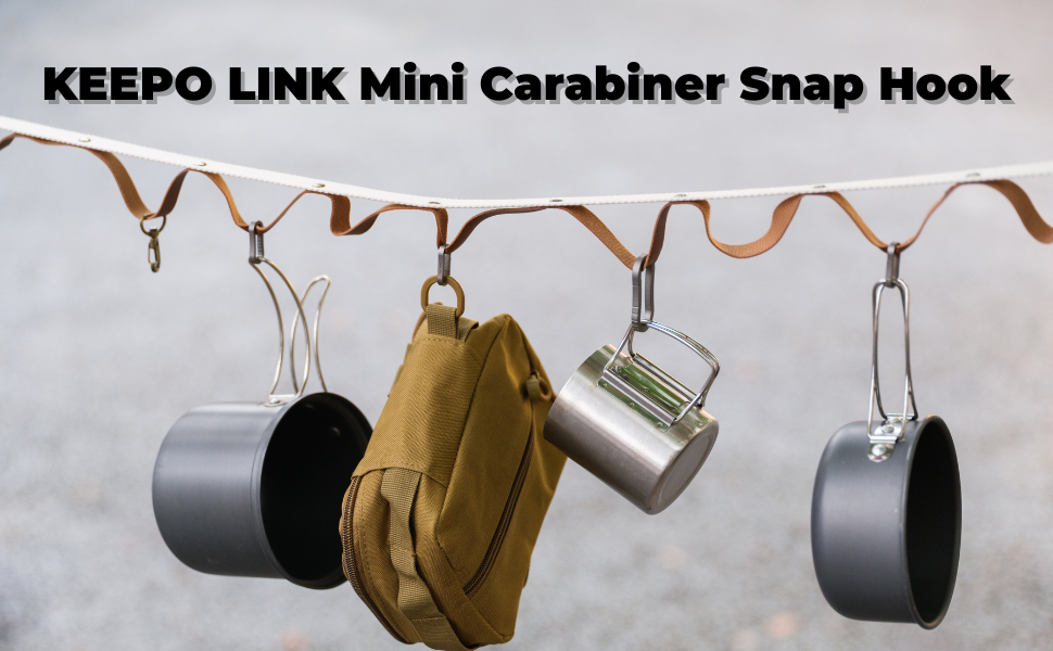 mini carabiner