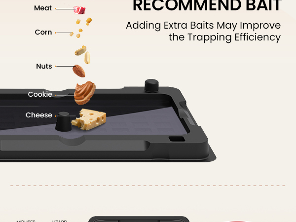 Wowcatch Mouse Glue Traps
