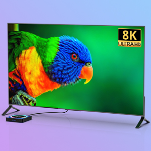 Curved 8K television display showing vibrant image of a colorful parrot against green background. Modern slim design with stand visible.