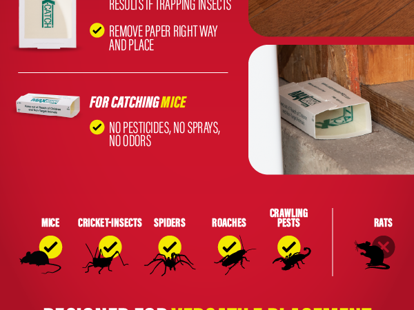 Max-Catch glue trap placement guide for mice, insects and crawling pests, not rats