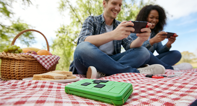 switch game card case