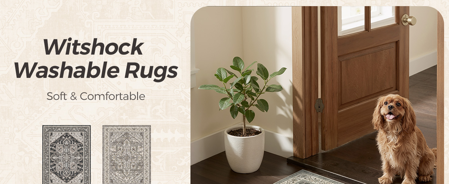 washable rug 2x3