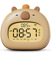 https://m.media-amazon.com/images/S/aplus-media-library-service-media/9d82d7fb-2af4-4021-938a-c81092111319.__CR0,0,200,225_PT0_SX200_V1___.jpg