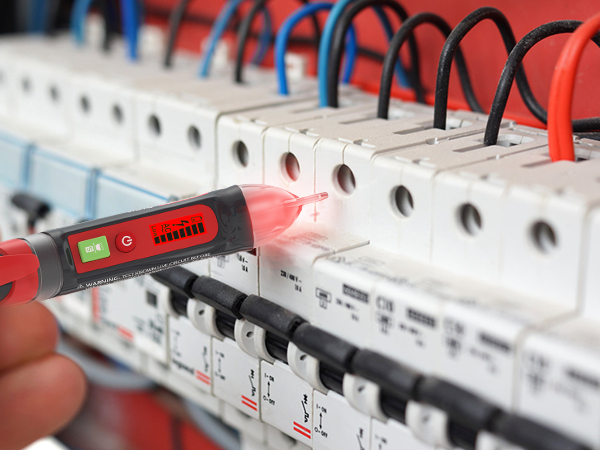 electric voltage detector