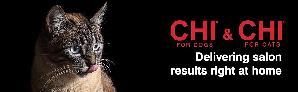 Chi for Cats