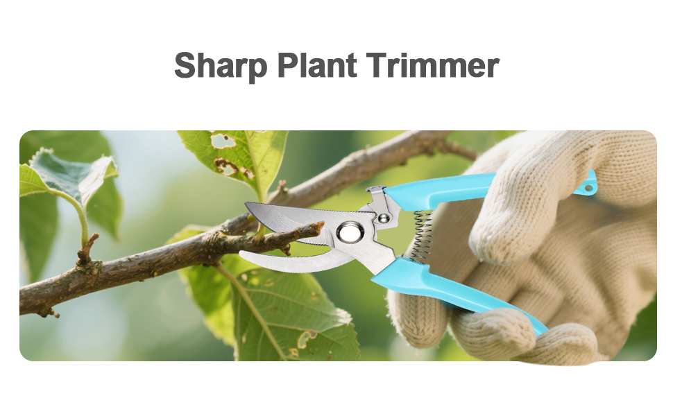 Sharp Plant Trimmer