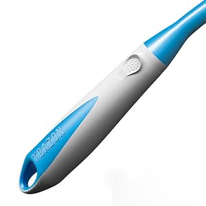 Dish brush