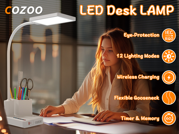 LED Desk Lamp