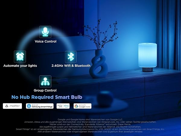 Govee smart light bulb
