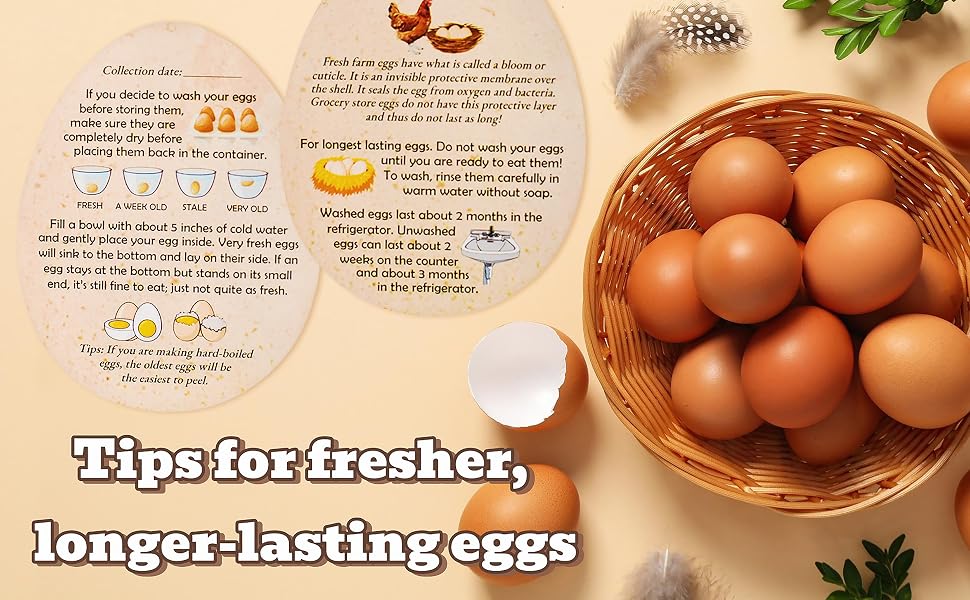 egg cartons cheap bulk; eggs 18 count fresh; egg stamps for fresh eggs egg cartons bulk