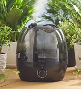 Small Ultrasonic Humidifiers