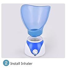 face steamer