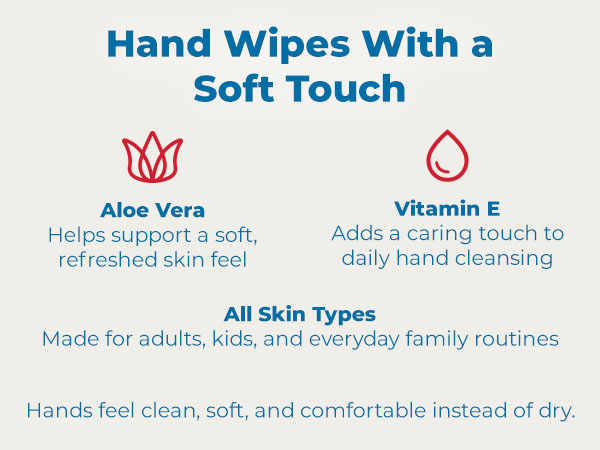 Diamond Wipes WipeEssentials Sanitizing Wipes