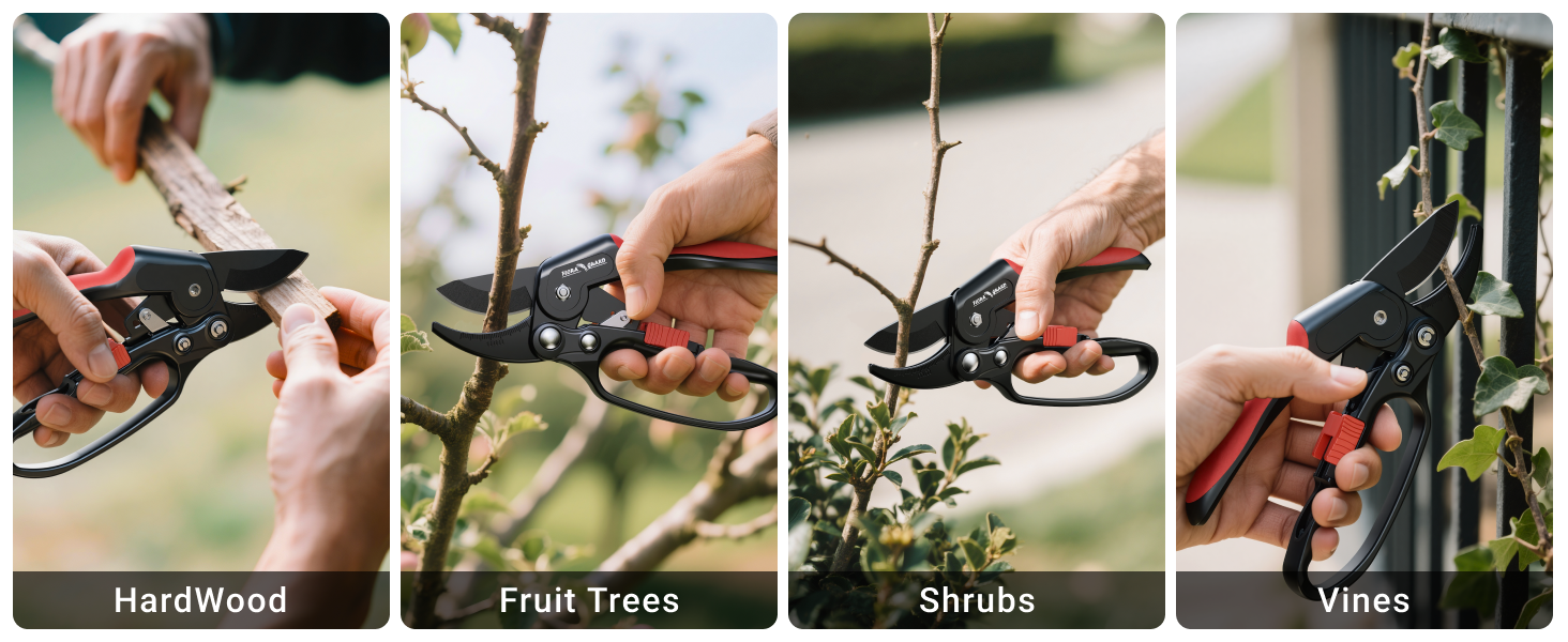ratchet pruner
