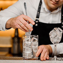 cocktail shaker set