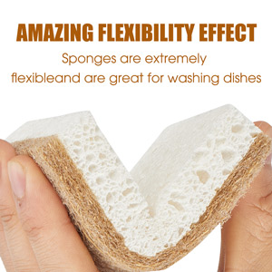coconut sponge