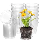 WSMKSZ 4 Inch Clear Nursery Pots, Set of 30 Transparent Plant Flower Pots for Small Indoor Plants...