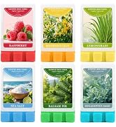 SCENTORINI Wax Melts, Summer Scented Wax Cubes for Wax Warmers, Scentsy Wax Melts, Eucalyptus Sag...