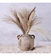 6.9" Ceramic Rustic Vase with 2 Handles, Farmhouse Vase for Home Decor, Terracotta Decorative Vas...