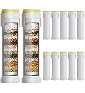 Ion drops shower head filter 12-pack,18-Stage Advanced Shower Filter Cartridge - Mineral Enrichme...