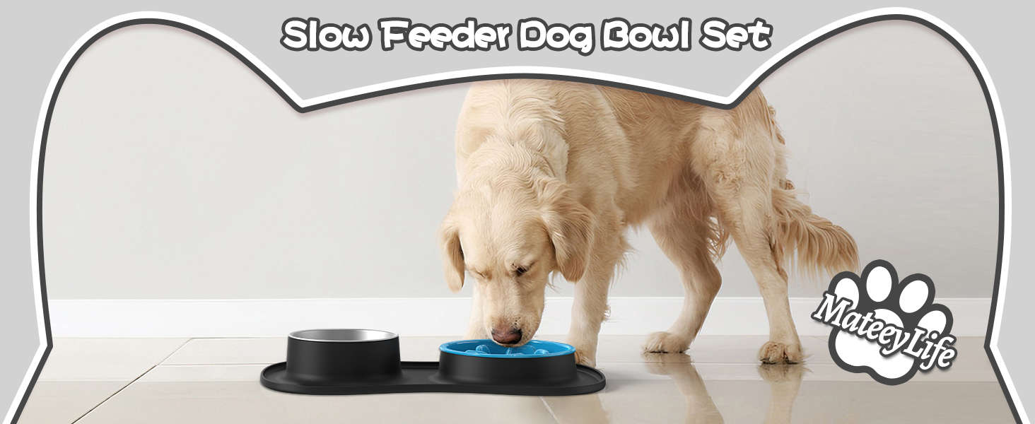 dog bowls, slow feeder dog bowls, dog bowl, dog food bowl, dog slow feeder bowl