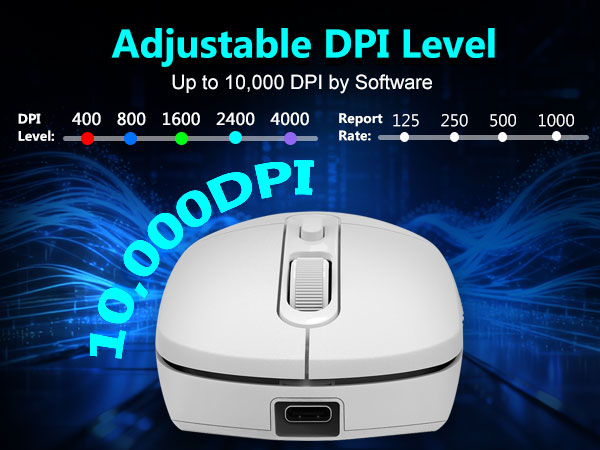 adjustable dpi
