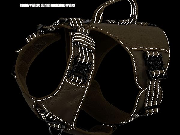 dog vest reflective