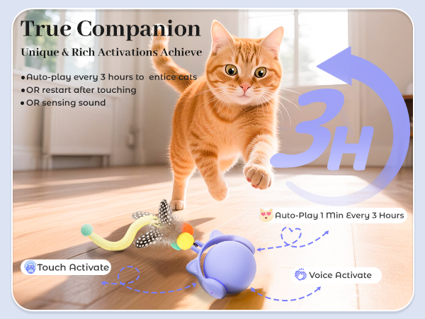 Cat Toy for Indoor Adult Cats