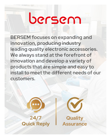 BERSEM